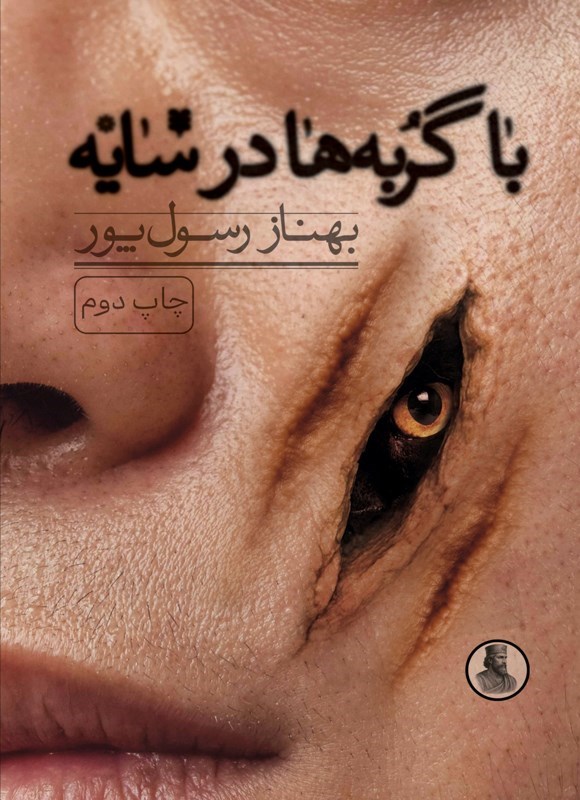 تصویر جلد کتاب با گربه ها در سایه