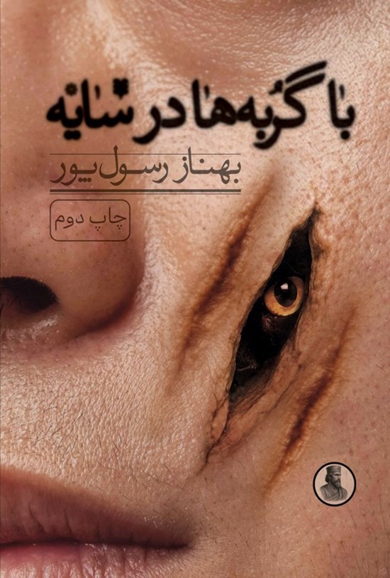 تصویر جلد کتاب با گربه ها در سایه