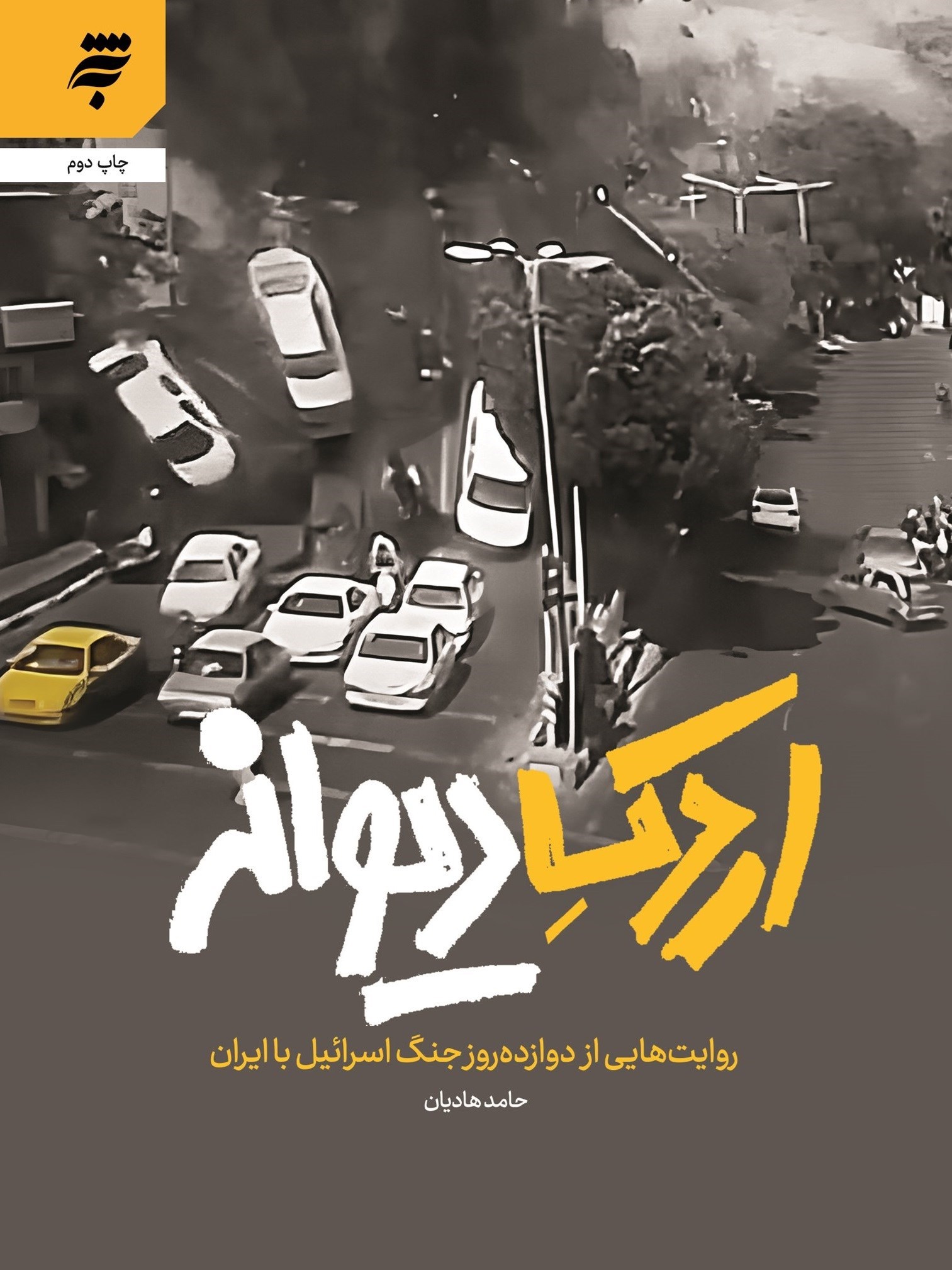 تصویر جلد کتاب اردک دیوانه