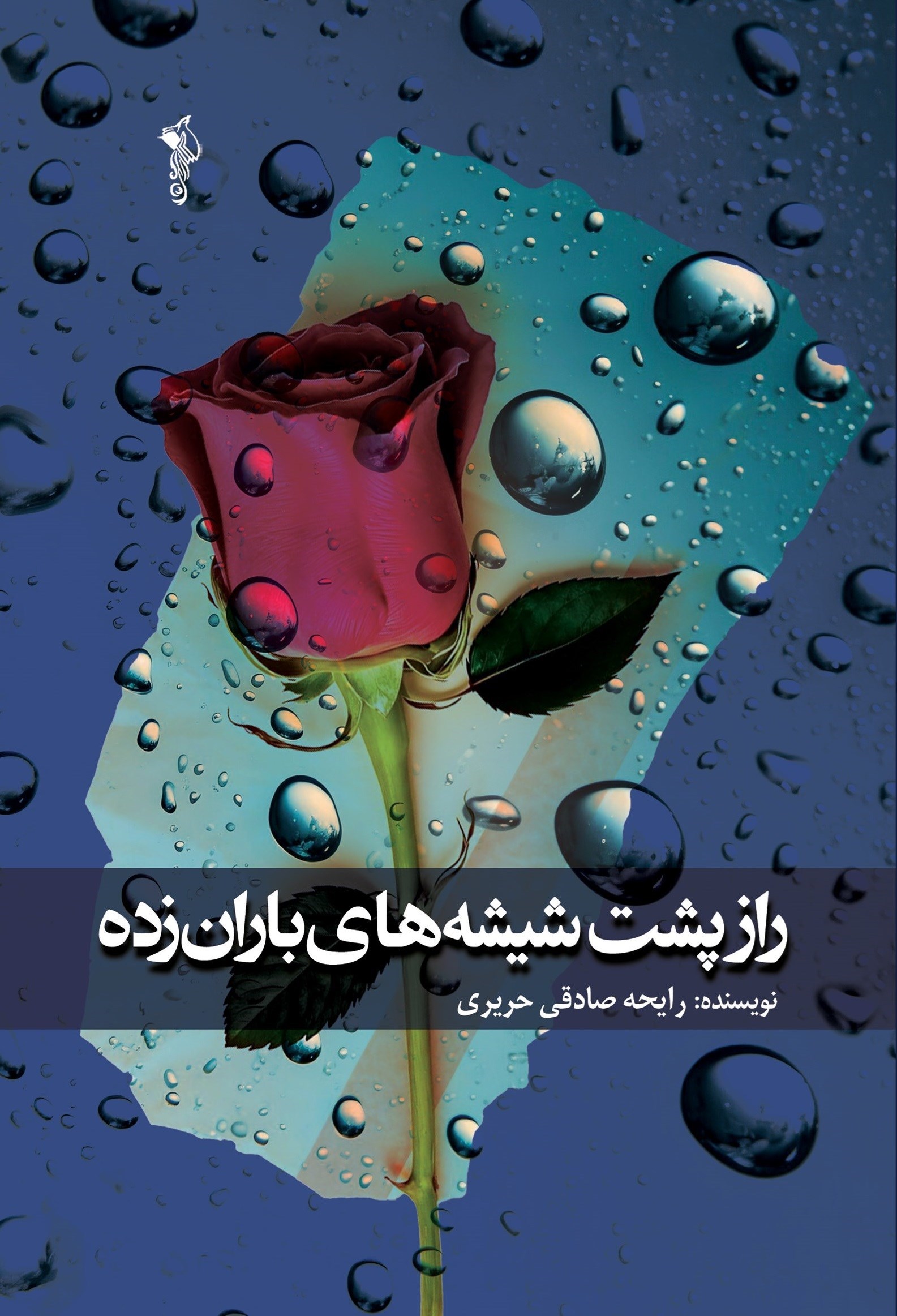 تصویر جلد کتاب راز پشت شیشه های باران زده