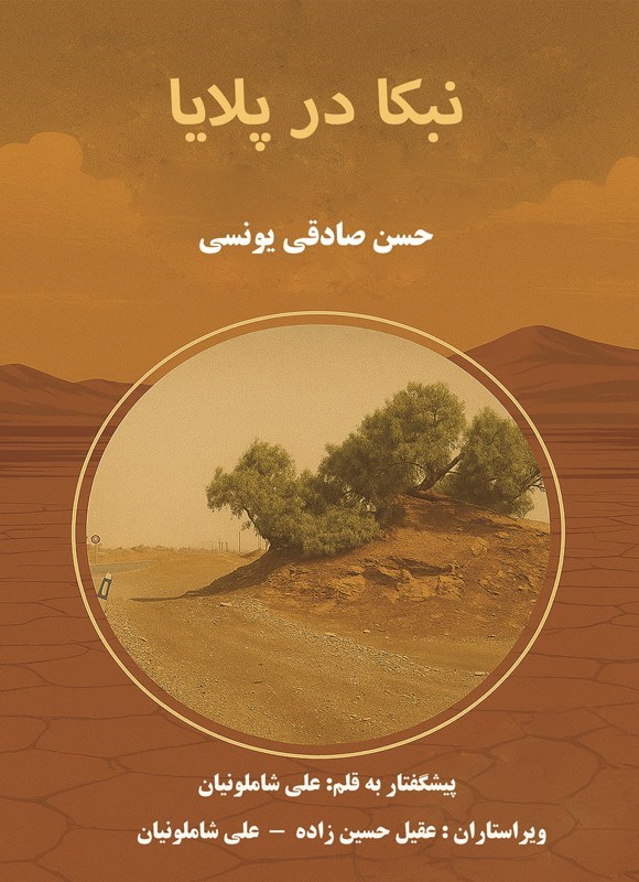 تصویر جلد کتاب نبکا در پلایا