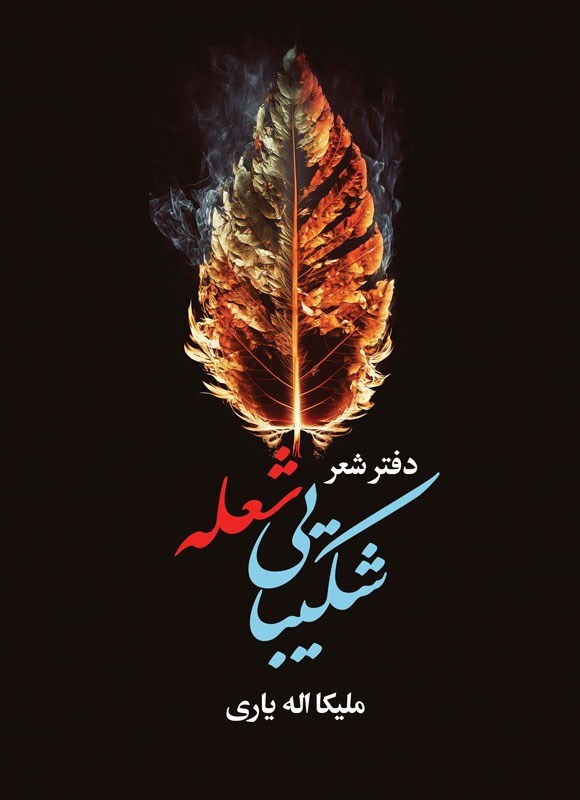 تصویر جلد کتاب شکیبایی شعله