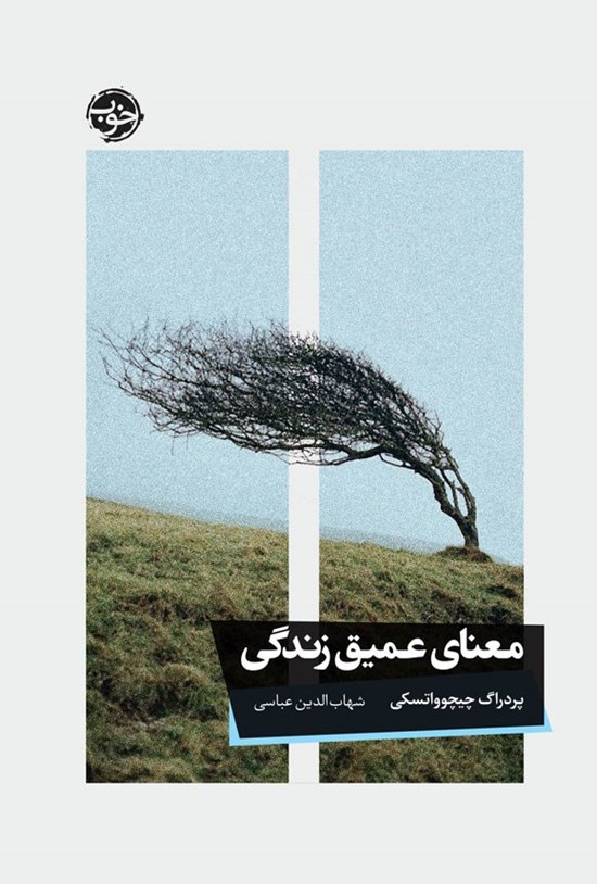 تصویر جلد کتاب معنای عمیق زندگی