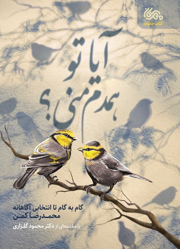 تصویر جلد کتاب آیا تو همدم منی؟