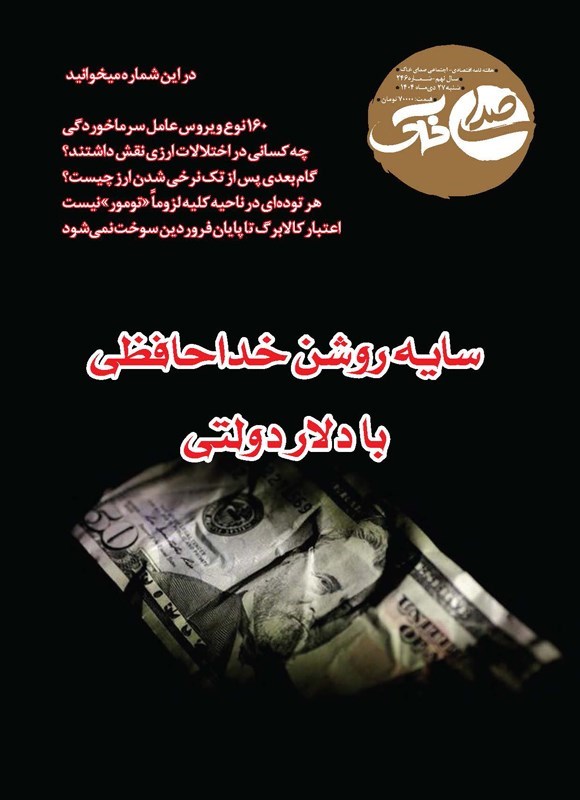 تصویر جلد کتاب هفته نامه صدای خاک ـ شماره ۲۴۶ ـ شنبه ۲۷ دی ماه ۱۴۰۴