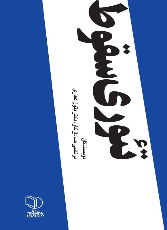 تصویر جلد کتاب تئوری سقوط