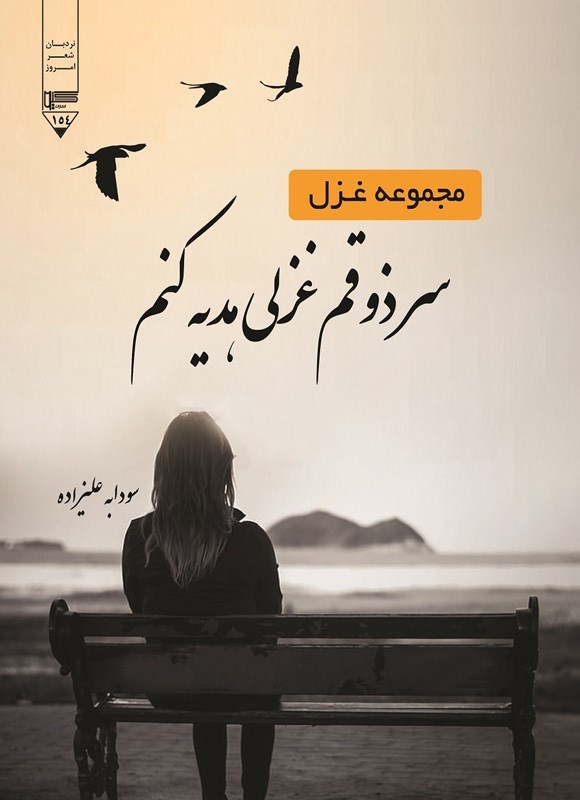 تصویر جلد کتاب سر ذوقم غزلی هدیه کنم