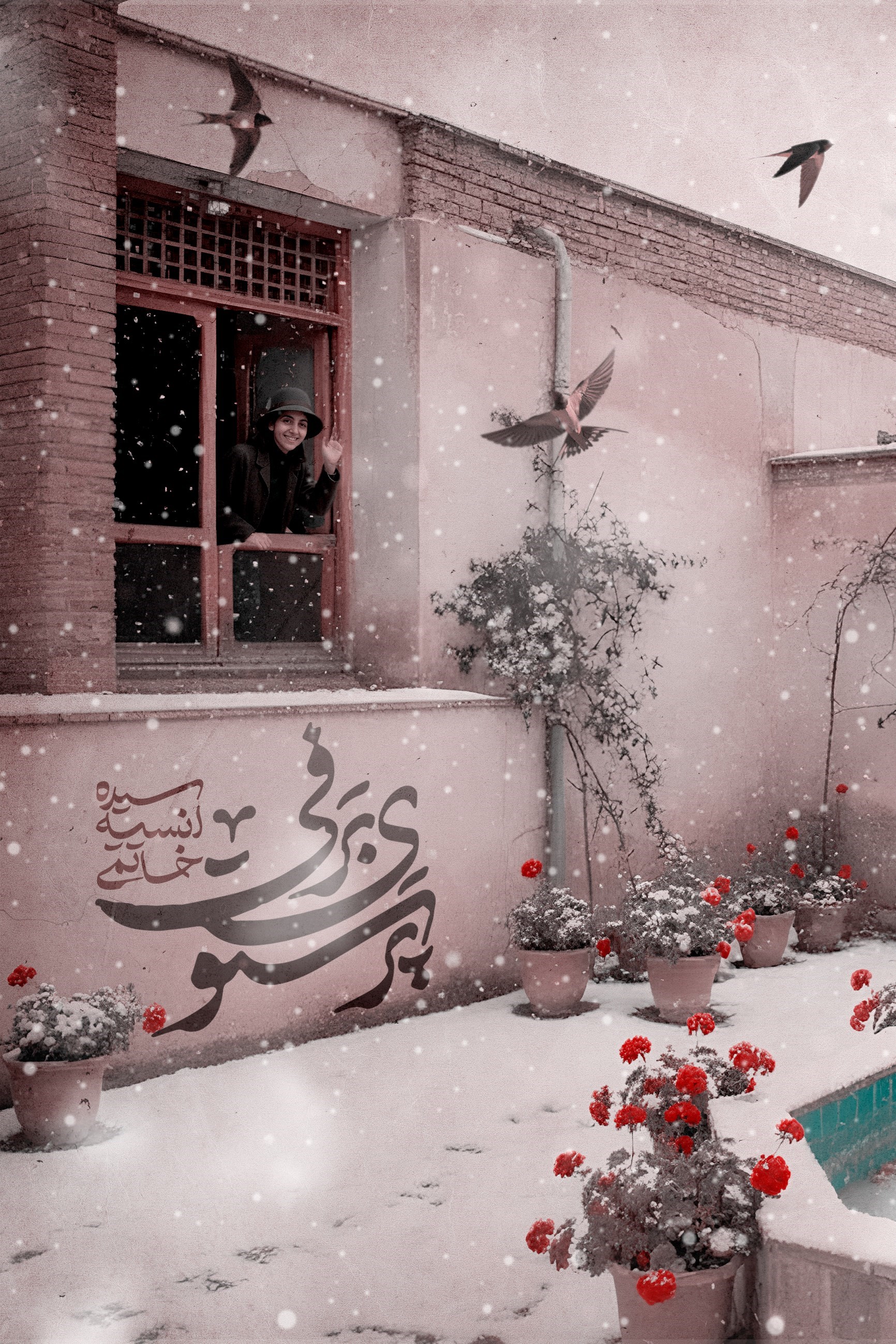 تصویر جلد کتاب پرستوی برفی