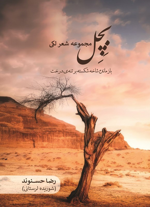تصویر جلد کتاب بچل