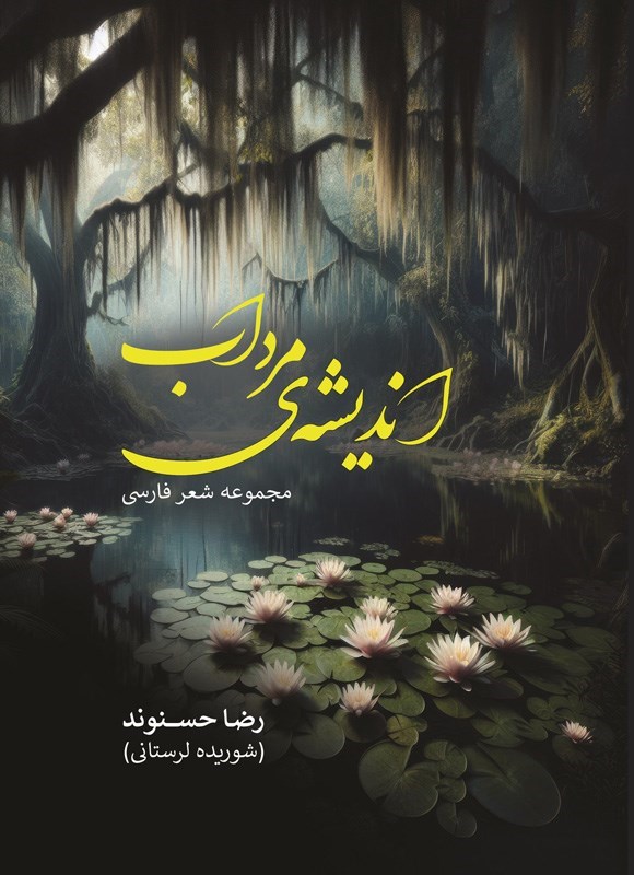 تصویر جلد کتاب اندیشه مرداب
