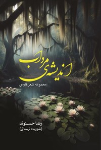 تصویر جلد کتاب اندیشه مرداب