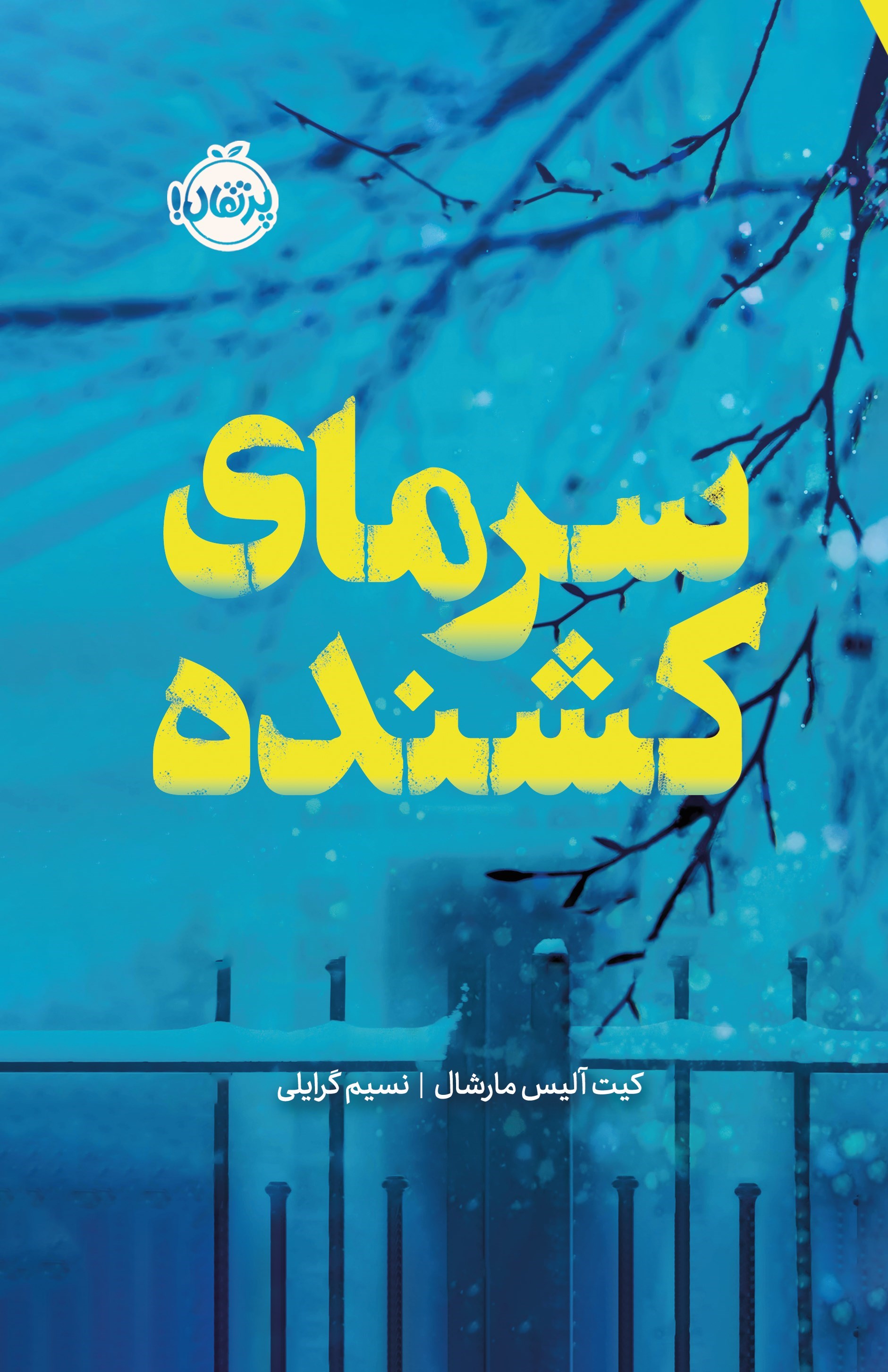 تصویر جلد کتاب سرمای کشنده