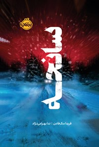 تصویر جلد کتاب سانحه