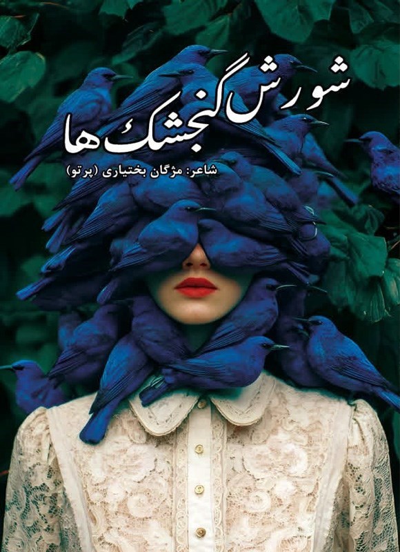 تصویر جلد کتاب شورش گنجشک ها