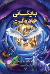 تصویر جلد کتاب بایگانی جادوگری