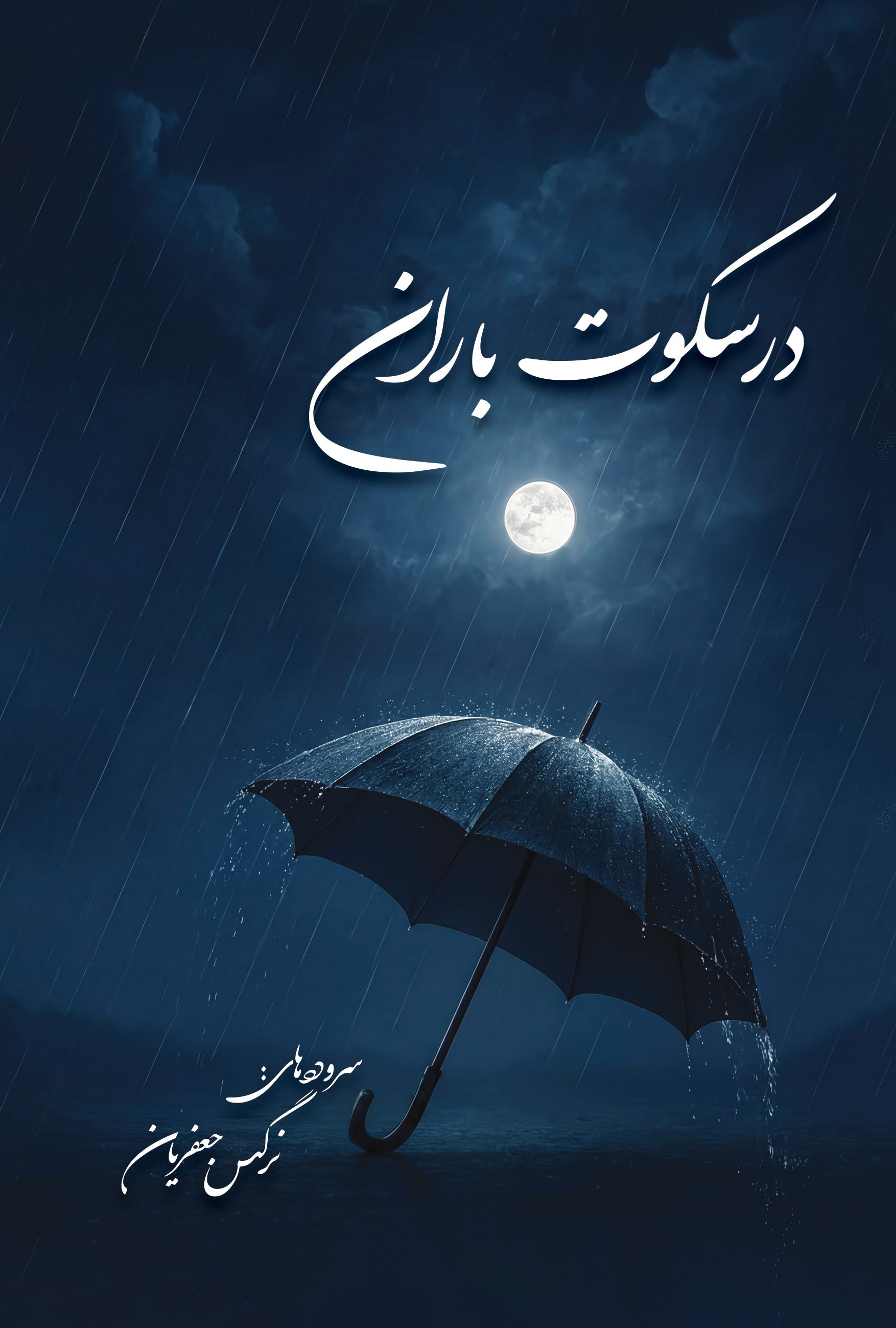 تصویر جلد کتاب در سکوت باران
