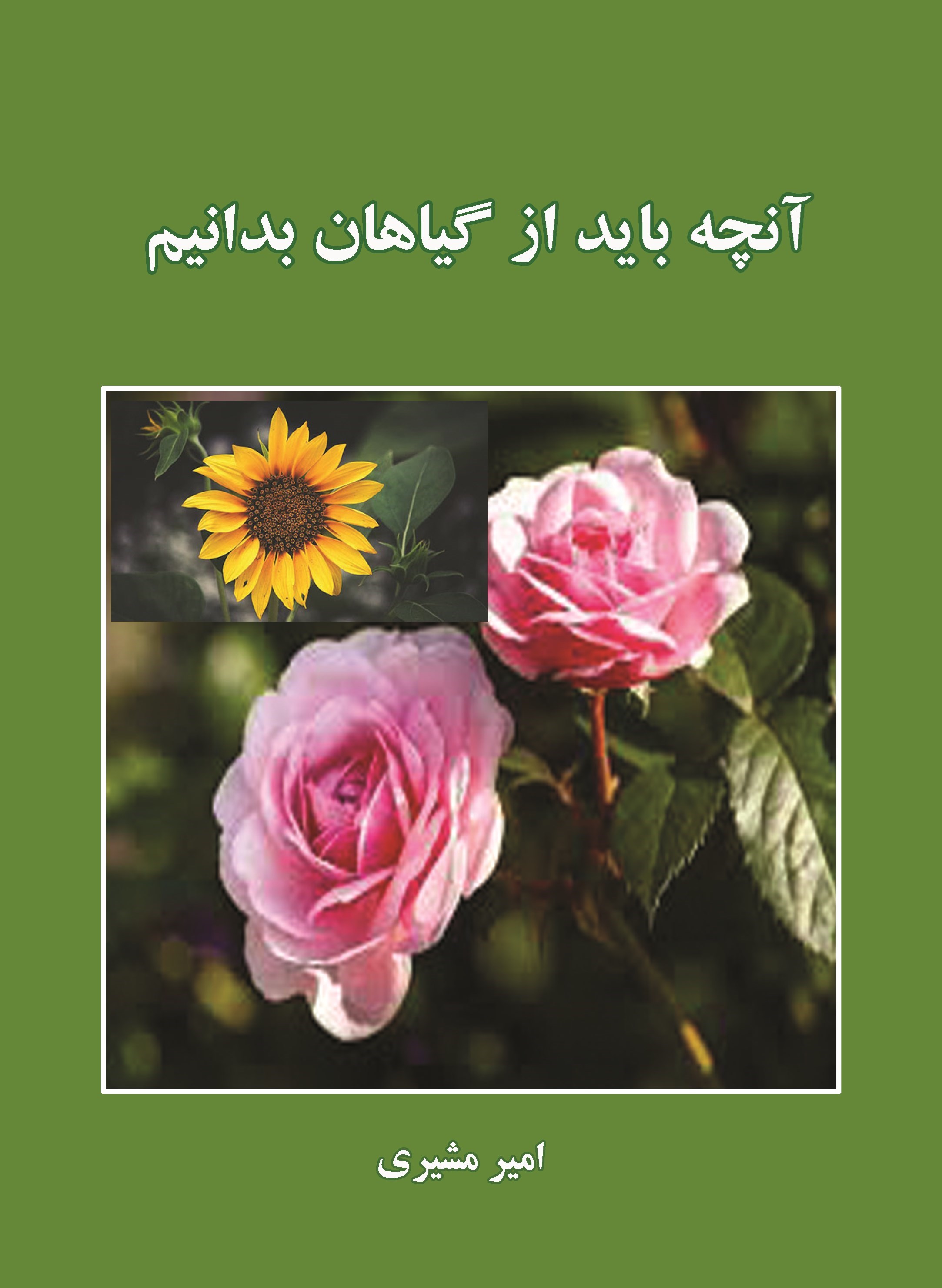 تصویر جلد کتاب آنچه باید از گیاهان بدانیم