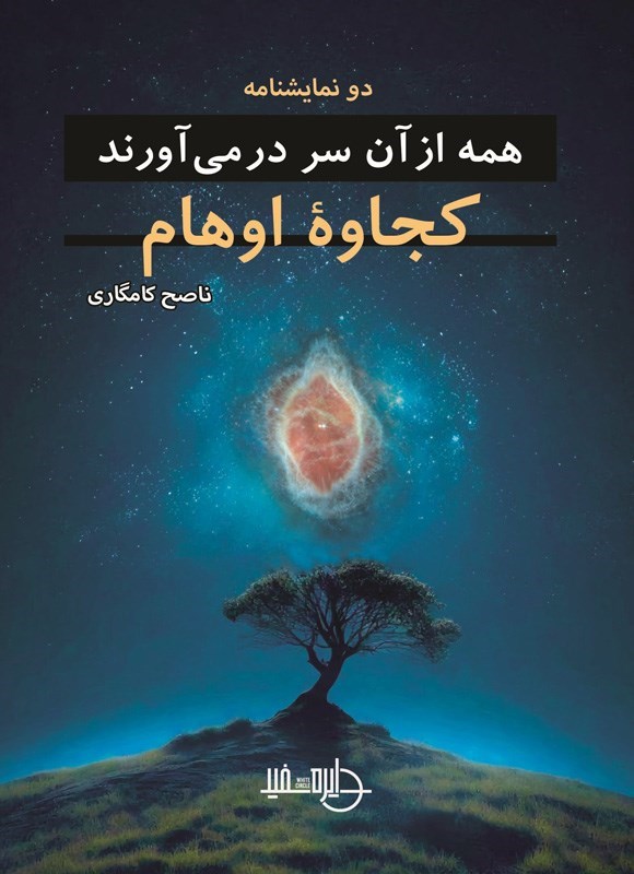 تصویر جلد کتاب همه از آن سر در می آورند و کجاوه اوهام