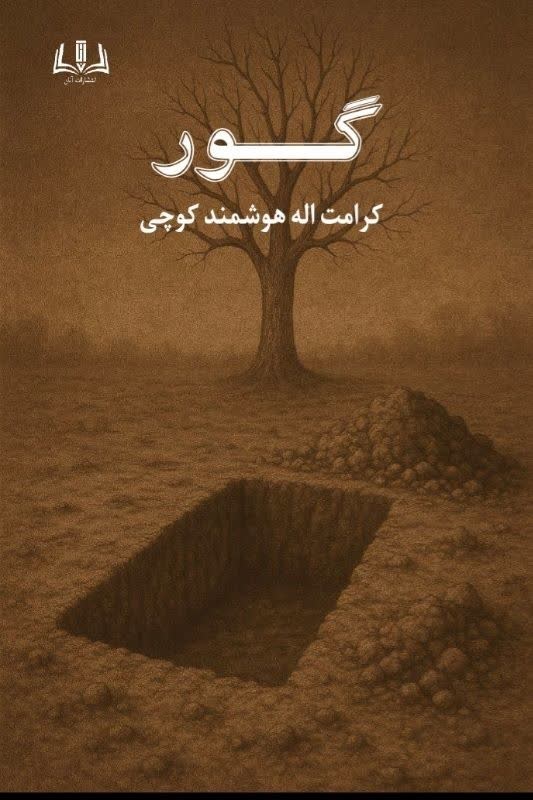 تصویر جلد کتاب گور