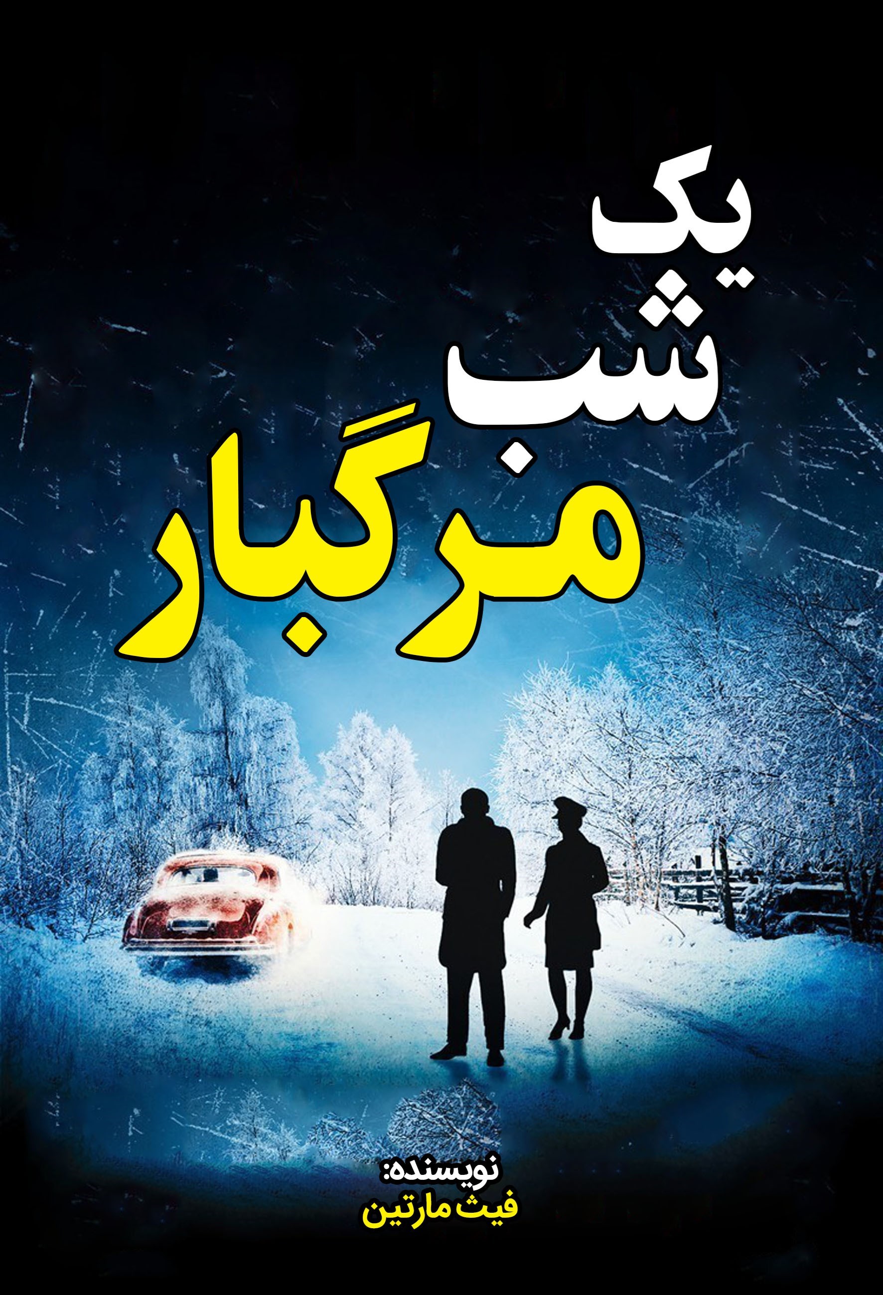 تصویر جلد کتاب یک شب مرگبار