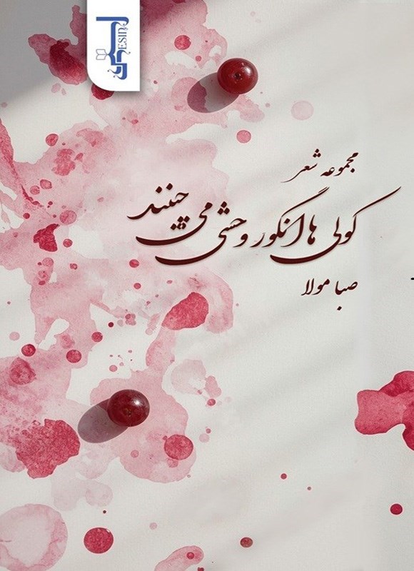 تصویر جلد کتاب کولی ها انگور وحشی می چینند