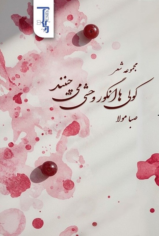 تصویر جلد کتاب کولی ها انگور وحشی می چینند