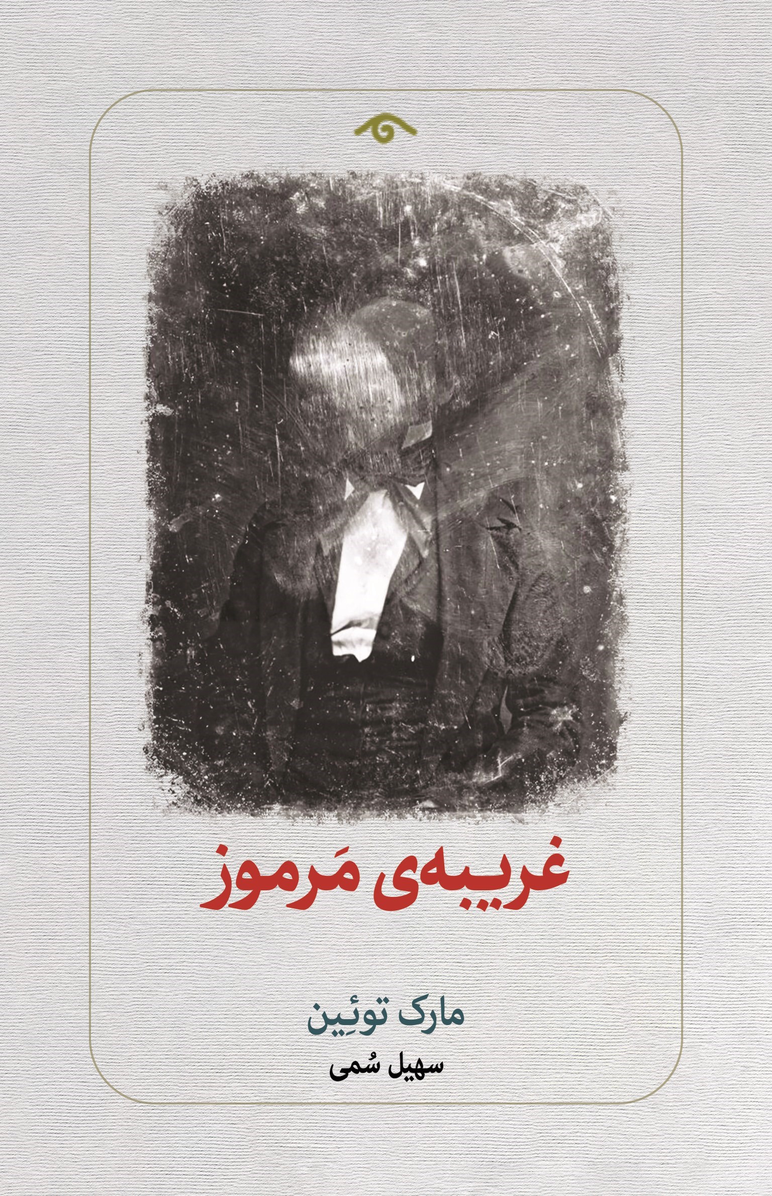 تصویر جلد کتاب غریبه مرموز