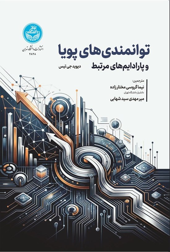 تصویر جلد کتاب توانمندی های پویا و پارادایم های مرتبط