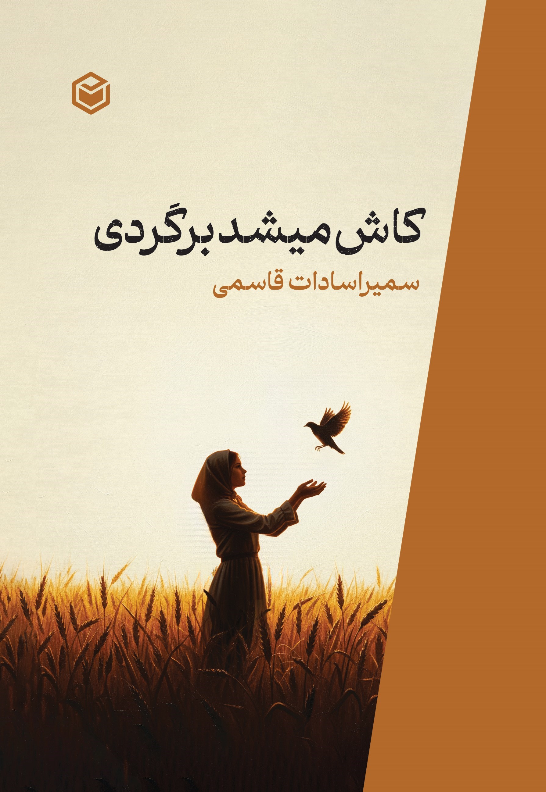 تصویر جلد کتاب کاش میشد برگردی