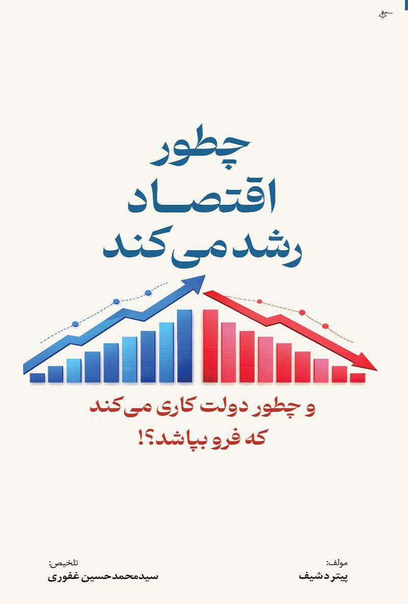 تصویر جلد کتاب چطور اقتصاد رشد می کند و چطور دولت کاری می کند که فرو بپاشد؟!