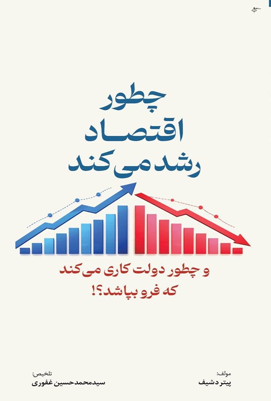 تصویر جلد کتاب چطور اقتصاد رشد می کند و چطور دولت کاری می کند که فرو بپاشد؟!