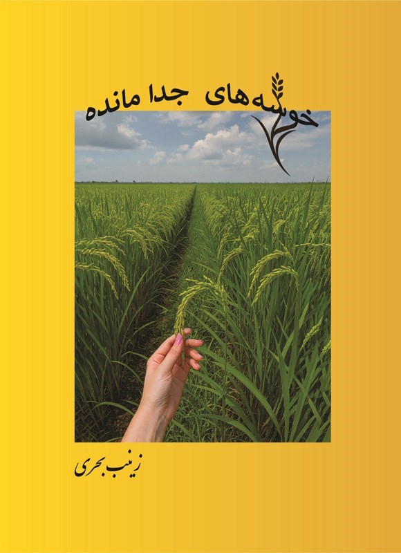 تصویر جلد کتاب خوشه های جدا مانده