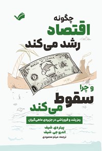 تصویر جلد کتاب چگونه اقتصاد رشد می کند و چرا سقوط می کند