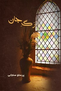 تصویر جلد کتاب رگ جان