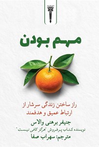 تصویر جلد کتاب مهم بودن