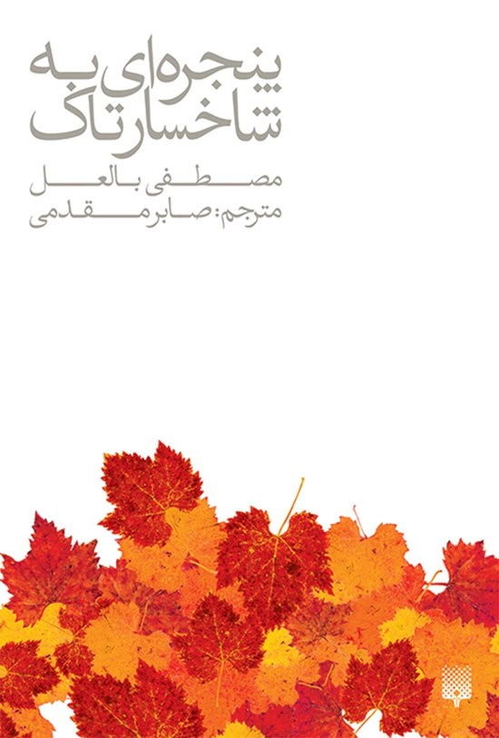 تصویر جلد کتاب پنجرهای به شاخسار تاک