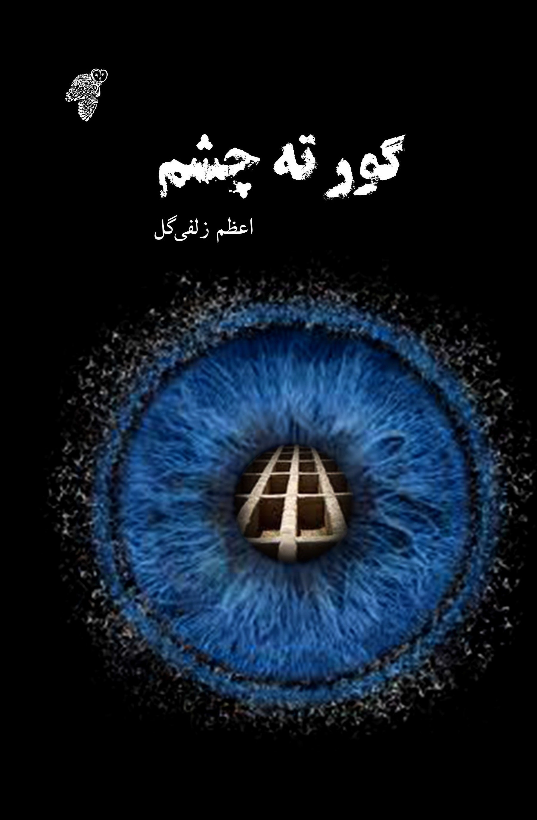 تصویر جلد کتاب گور ته چشم