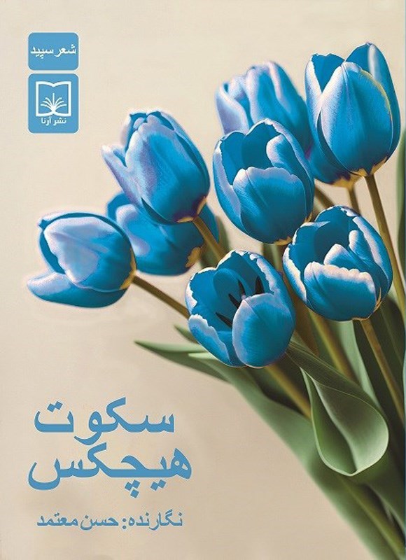 تصویر جلد کتاب سکوت هیچکس
