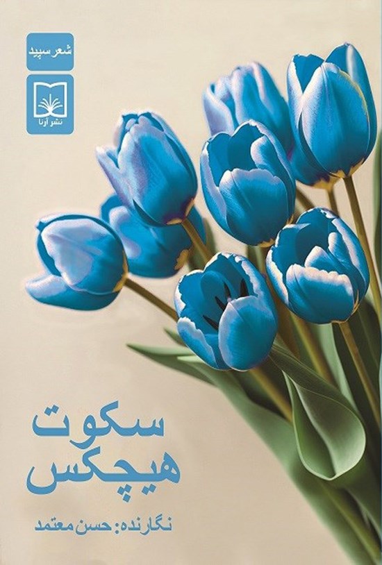 تصویر جلد کتاب سکوت هیچکس