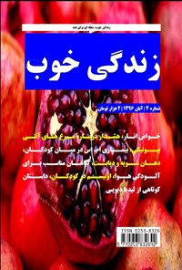 تصویر جلد کتاب زندگی خوب ـ شماره ۴ ـ آبان ۹۶