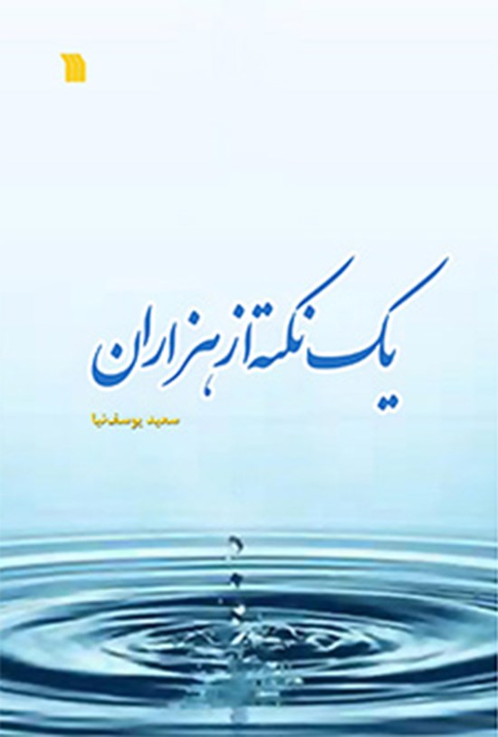 تصویر جلد کتاب یک نکته از هزاران
