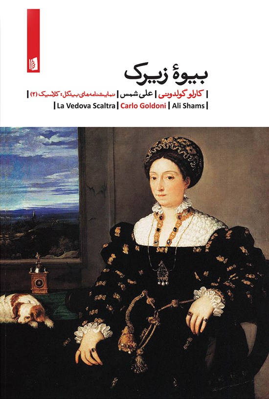 تصویر جلد کتاب بیوهی زیرک