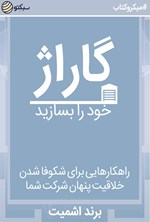 گاراژ  خود را بسازید (خلاصه کتاب) اثر برند اشمیت