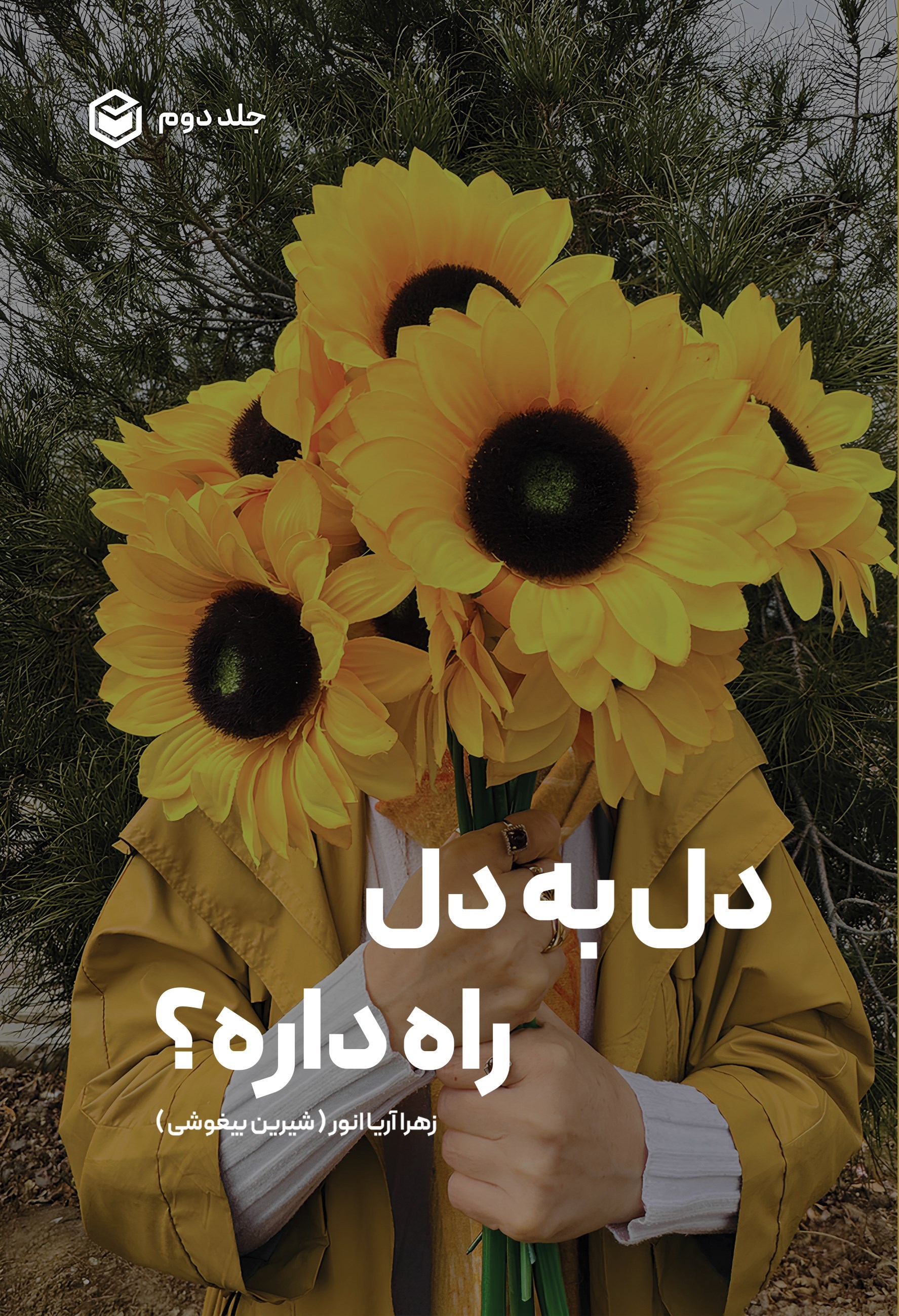 تصویر جلد کتاب دل به دل راه داره؟ (جلد دوم)