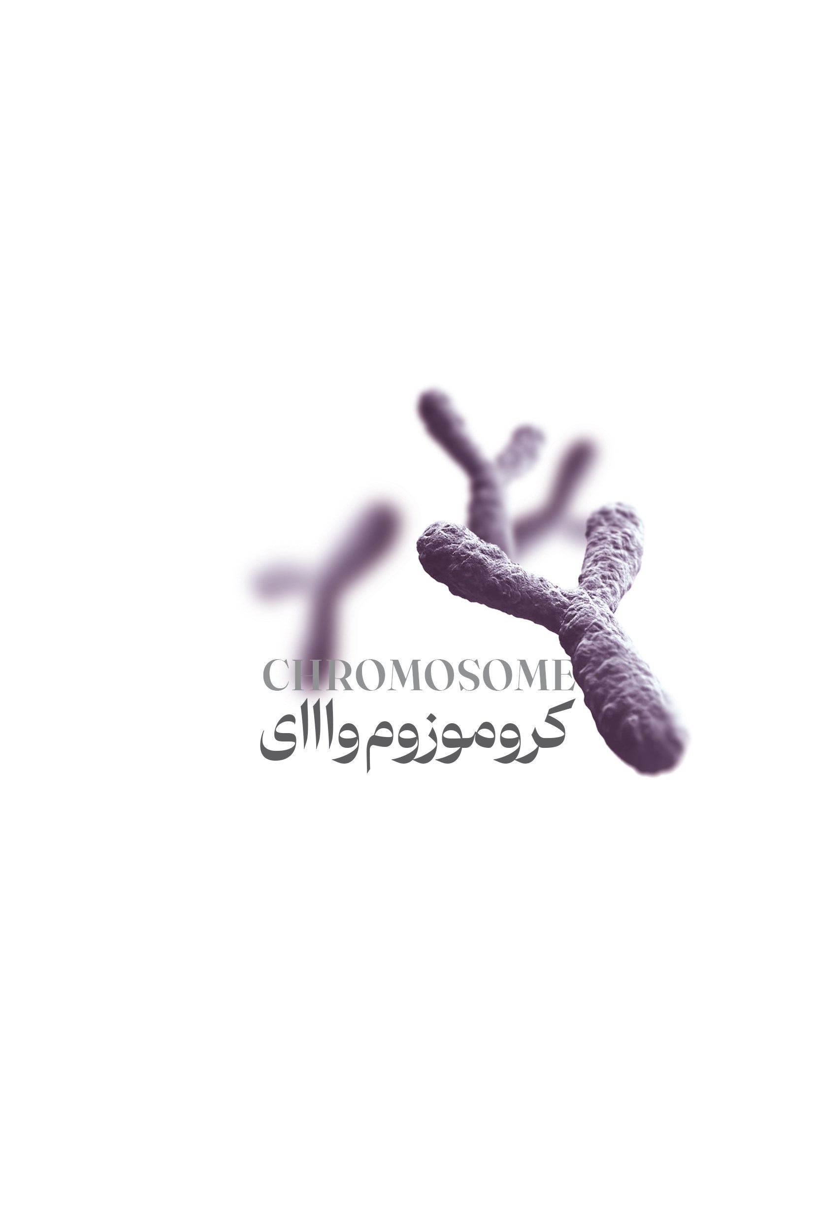 تصویر جلد کتاب کروموزوم وااای (Y)