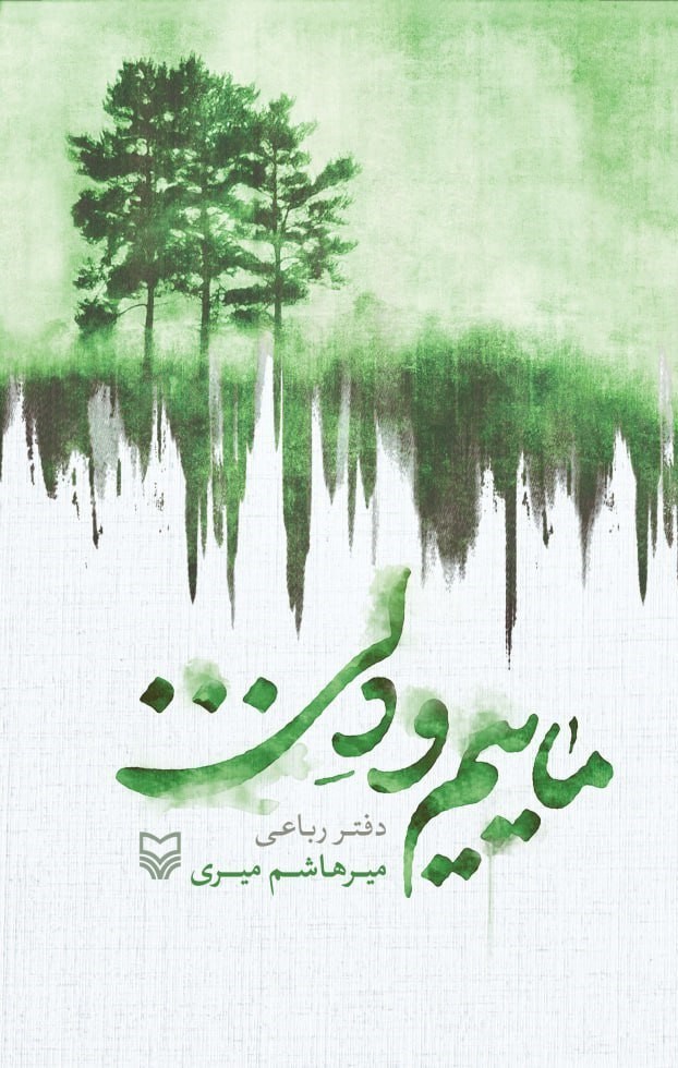 تصویر جلد کتاب ماییم و دلی...