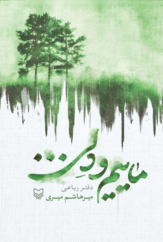 تصویر جلد کتاب ماییم و دلی...