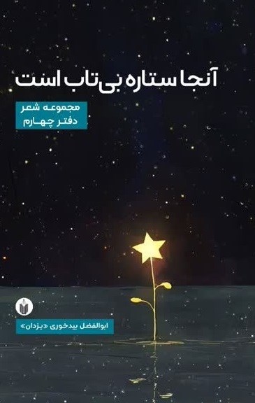 تصویر جلد کتاب آنجا ستاره بی تاب است