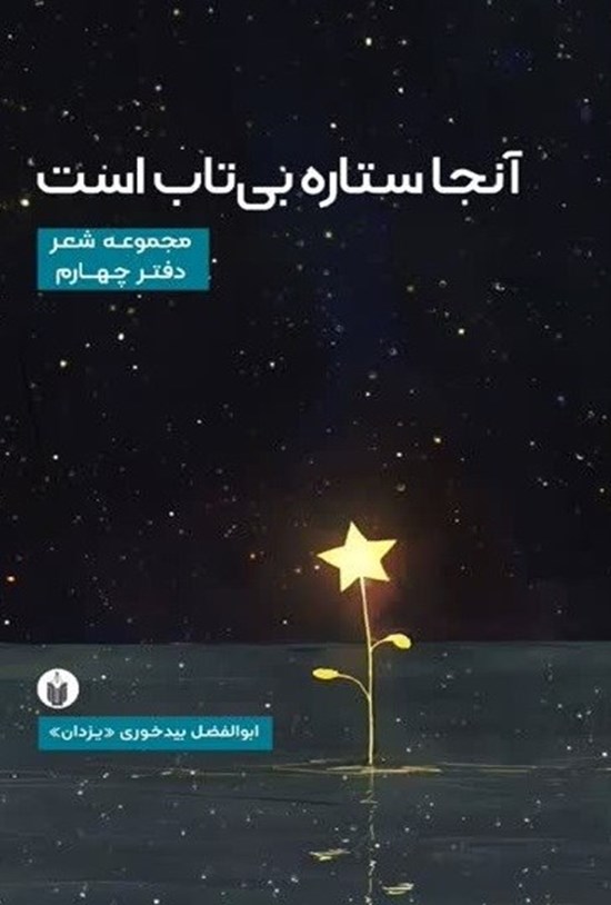 تصویر جلد کتاب آنجا ستاره بی تاب است