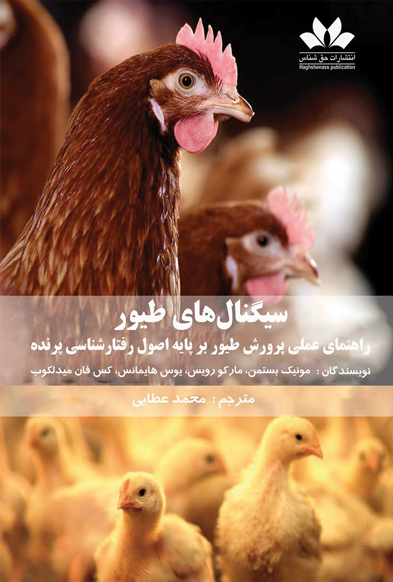 تصویر جلد کتاب سیگنال های طیور